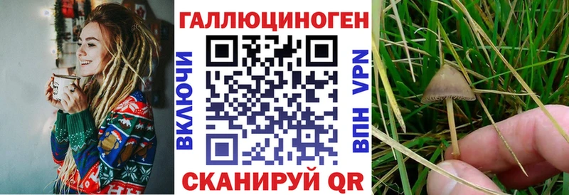 Псилоцибиновые грибы Magic Shrooms  ссылка на мегу как войти  Мураши 