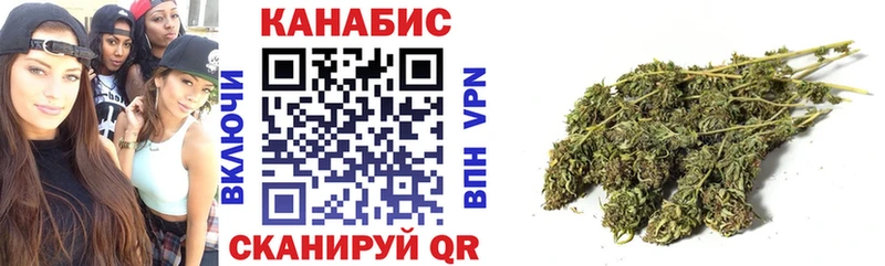 МАРИХУАНА SATIVA & INDICA  наркошоп  Мураши 